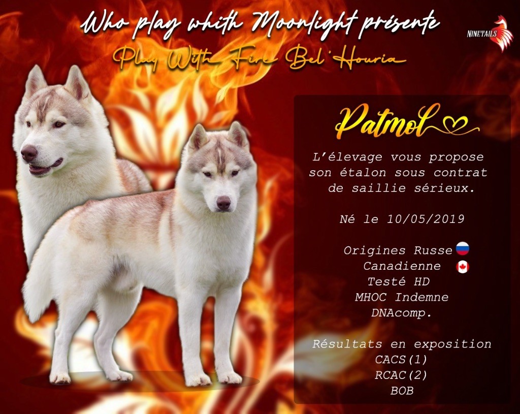 Play with fire Bel'houria